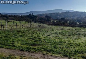 Terreno em Oliveira do Hospital e São Paio de Gramaços