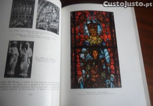 imagem_6