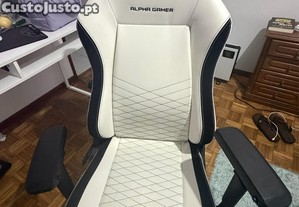 Cadeira Gamer Aplha Gamer