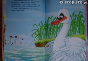 imagem_8