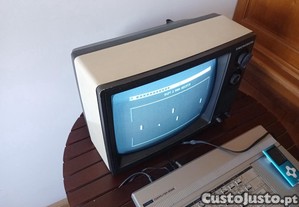 Televisão CRT 30cm "Portatil" P&B