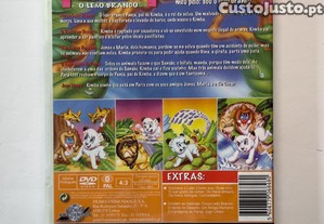 imagem_2