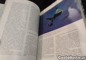 imagem_7