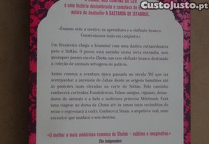 imagem_5