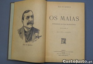 imagem_8