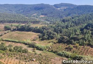 Terreno Agrícola em Azueira e Sobral da Abelheira