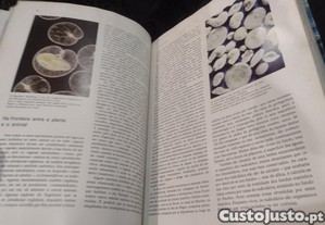 imagem_8