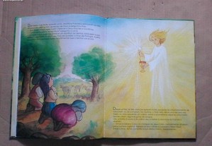 imagem_5