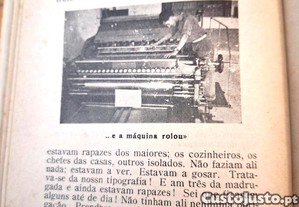 imagem_4
