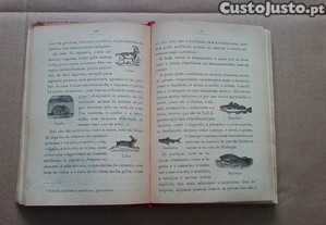 imagem_3