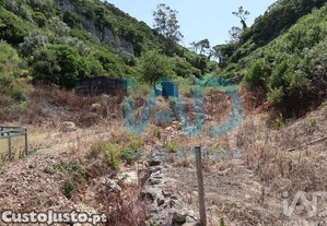imagem_28