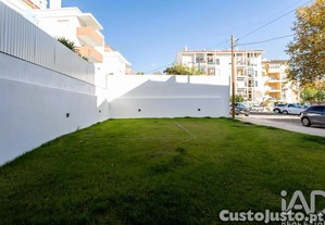 imagem_23