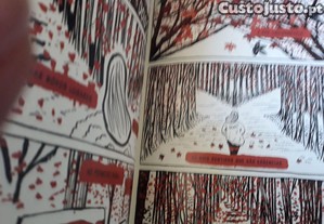 imagem_6