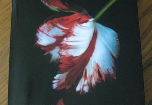 imagem_5