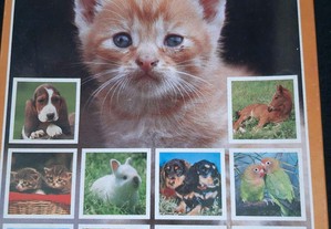 imagem_7