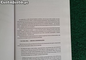 imagem_8