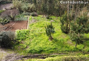 Investimento Ou Desenvolvimento De Projeto...