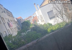 imagem_11