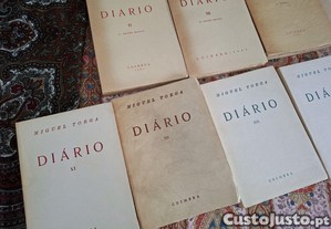 imagem_8