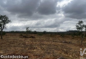 imagem_5