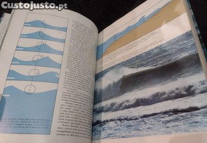 imagem_10