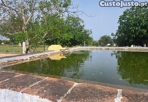 imagem_41