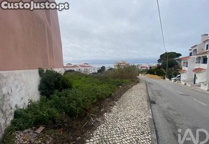 imagem_11