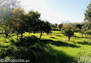 imagem_5