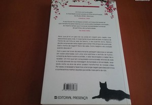 imagem_7