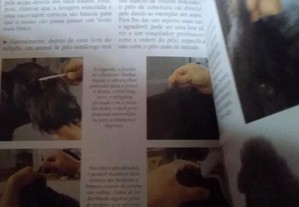 imagem_8
