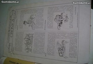 imagem_2