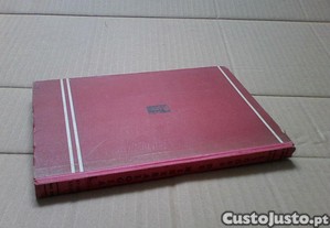 imagem_2