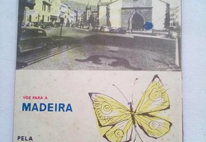 imagem_6
