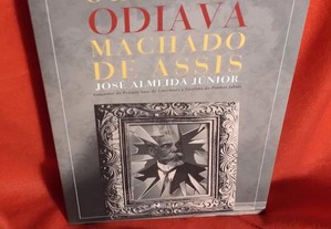 O Homem que Odiava Machado de Assis, de José Almeida Júnior.