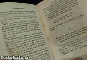 imagem_8