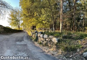 Terreno Rústico Plano Com 38.100M² Em Vila De...