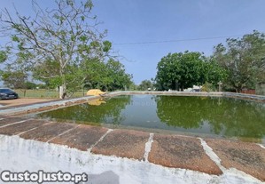 imagem_42
