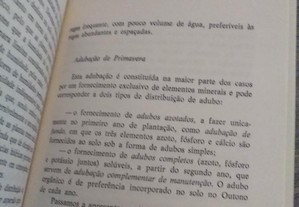 imagem_6