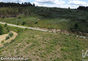 Terreno para construção em Seixo da Beira de 48000,00 m²