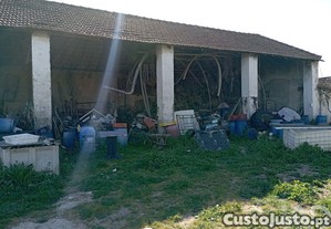 imagem_20
