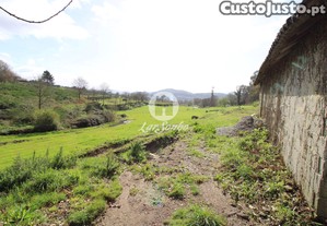 [240-T-24986] Terreno florestal /agrcola com 1...