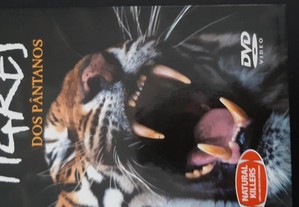 Tigres DVD + Livro
