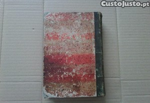 imagem_3