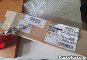 imagem_1