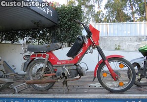 imagem_2