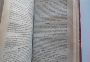 imagem_6