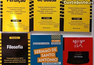 imagem_1