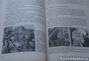imagem_6