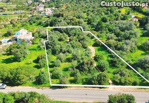 Terreno Rústico Bemposta