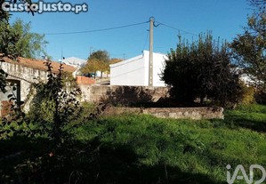 imagem_8